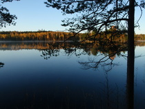 Pettäisellä
Kuva: J.Hämynen