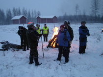 Tervastulet 8.12.2012
Kuva: J.Hämynen